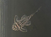 L046 - Zebra Plecostomus