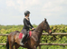 Thoroughbred mare 8 years old