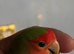 Cute young lovebirds