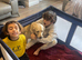 Golden doodle puppies