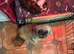 Shitzu puppy for sale