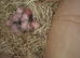 Beautiful young love birds ready to go