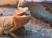2 year old bearded dragon