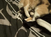 In need of a forever home ASAP as too ill too look after them