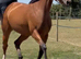 Exciting future / All rounder