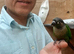 Breeding pair