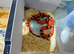 TANGERINE HONDURAN MILK SNAKE