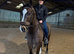 16.2H All Rounder Cosmo