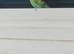 Breeding hen