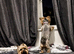 Yorkshire terrier Pair ️