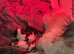 4 Shih Tzu puppies