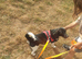 Daisy is looking for a forever family