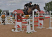 Ex show jumper