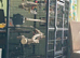 Large bird cage