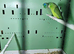 7 stunning parrolets