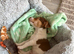 Male jack Russell 2 month old