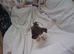 JACK-TZU PUPPIES