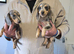Beautiful dachshund puppies