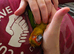 10 week old silly tame Sun Conure ready for new home