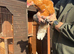 Chickens