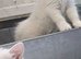 Two female kittens needing homes