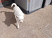 Bella REHOME