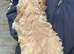 F1 cockapoo puppies