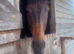 Schoolmaster with a special heart