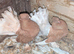 Breeding pair of Indian fantails