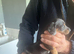 Miniature Daschund Puppies