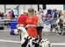 Zeus kc great dane stud only