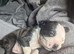 Beautiful Boston X Puppies for sale