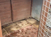 Outside dog kennel