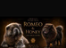 Exotic rare chow chow puppies