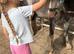 Charles.12hh Adorable 7 year old  First Pony
