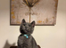 Kittens for sale