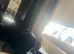 labrador puppy for sale