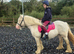 First pony, bombproof, allrounder
