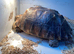 17-Year-Old Female Sulcata Tortoise