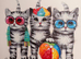 I&rsquo;m looking for a female kitten