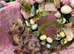Miniature dachshund female 8weeks old