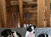 Pups for sale born 30/05/2026