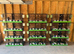 Bird breeding cages , aviary, and carry cages for sale