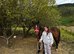 Bay Yearling