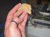 Crested Geckos for sale