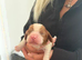 cavalier king charles puppies