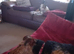 Patterdale terrier