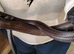 Mexican black kingsnake with fullsetup