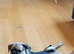 5 month old boy call rollo