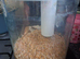 Marina 360 fish tank